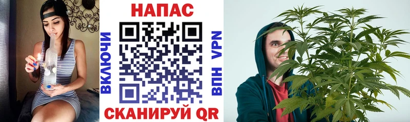 Где найти наркотики Великий Устюг Амфетамин  Cocaine  Галлюциногенные грибы  Каннабис  Гашиш 