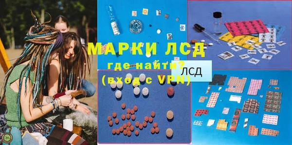 PSILOCYBIN Покров