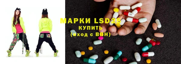 PSILOCYBIN Покров