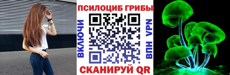 закладки  Великий Устюг  Псилоцибиновые грибы мицелий 