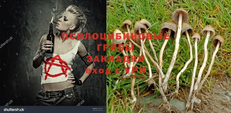 Галлюциногенные грибы Magic Shrooms  даркнет как зайти  Великий Устюг 