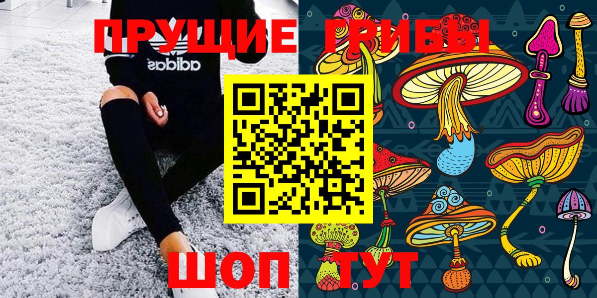 Галлюциногенные грибы Psilocybine cubensis  Псилоцибиновые грибы GOLDEN TEACHER  Великий Устюг 