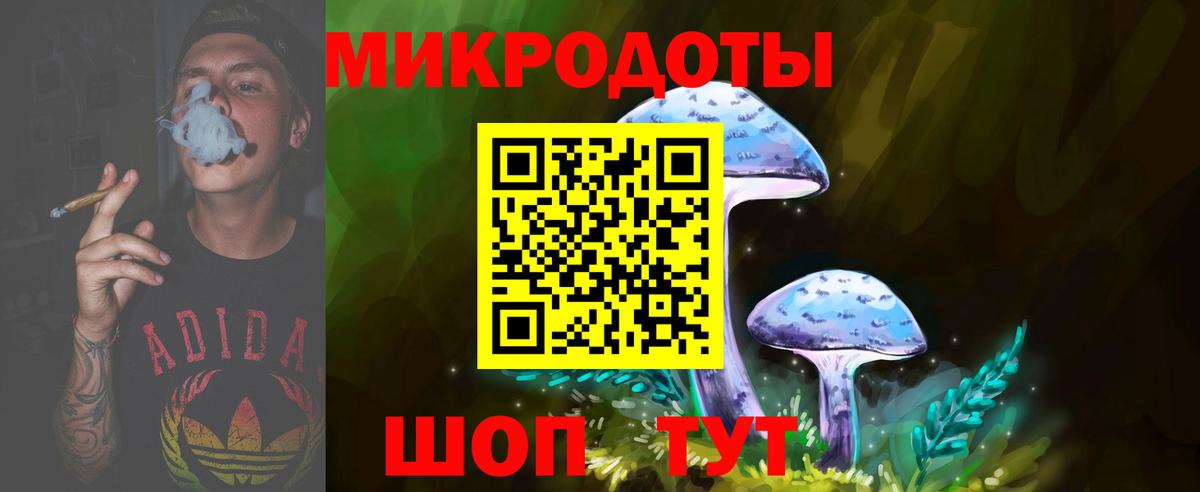 Псилоцибиновые грибы Cubensis Великий Устюг